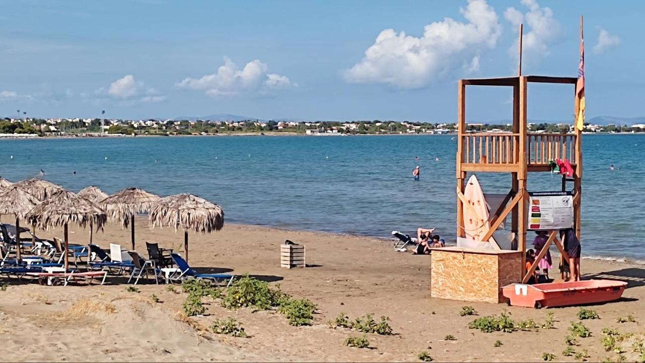 Beautiful Choice - Near Athens Airport - 50M From The Sea - Iq+ Apartment Artemida  Exterior photo