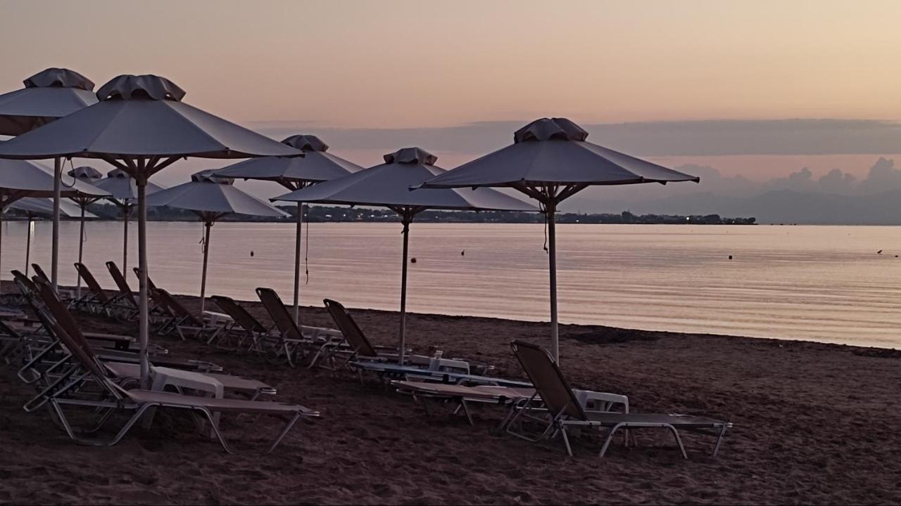 Beautiful Choice - Near Athens Airport - 50M From The Sea - Iq+ Apartment Artemida  Exterior photo